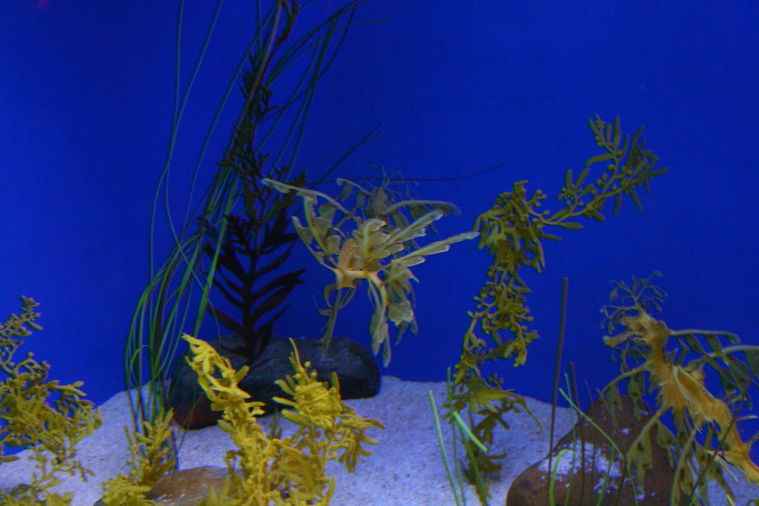 Photo captured at 2007-01-19T13:26:56.