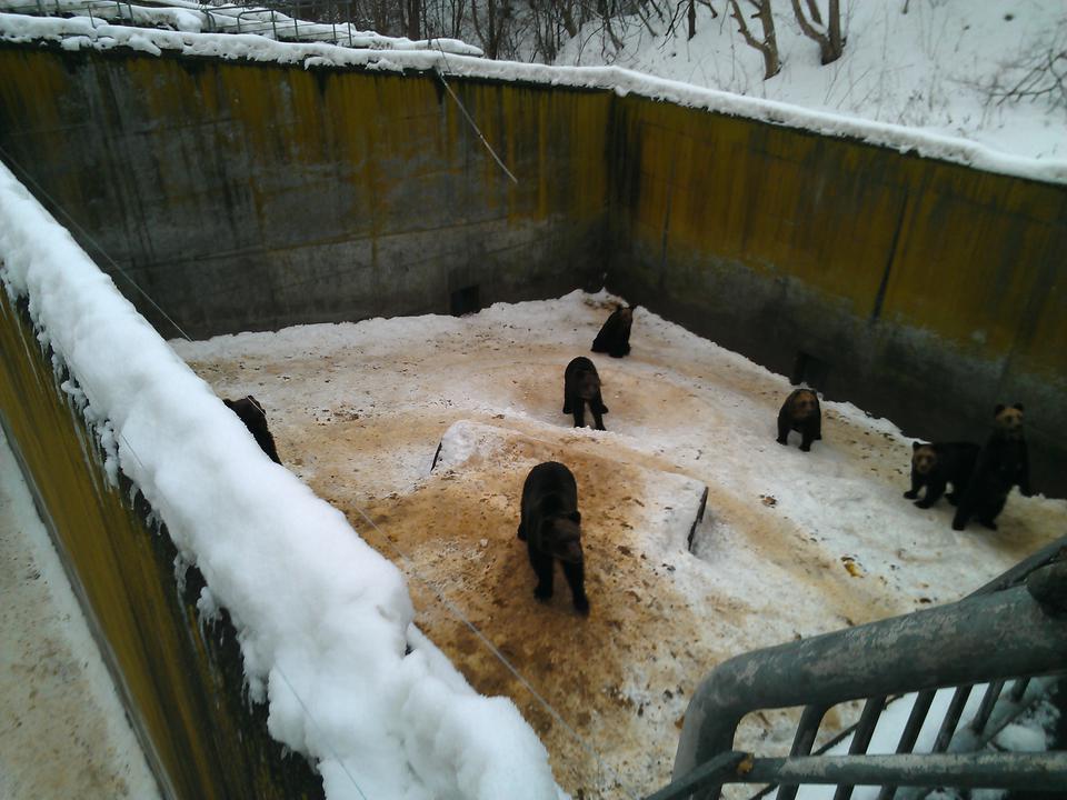 Photo captured at 2012-01-22T15:59:49.