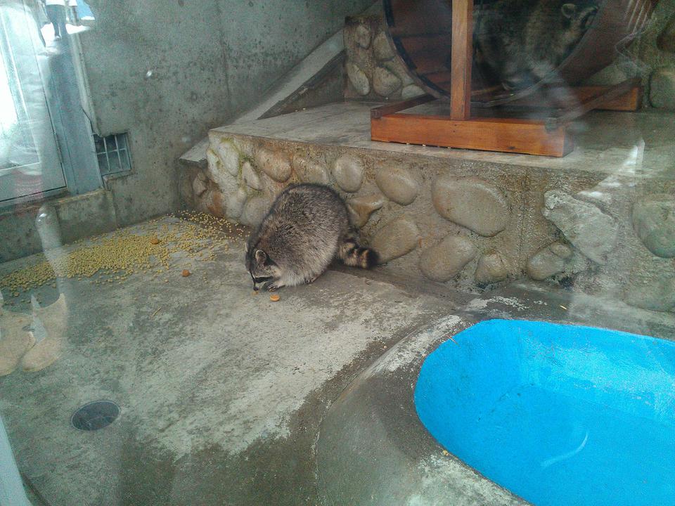 Photo captured at 2012-01-22T16:02:34.