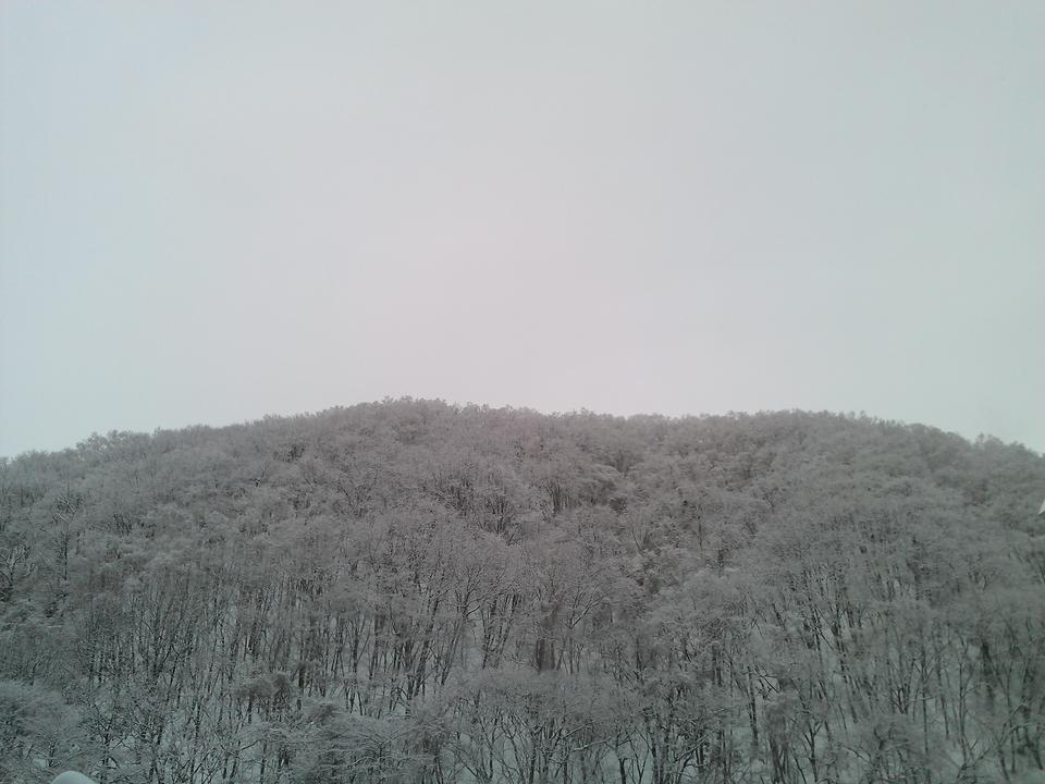 Photo captured at 2012-01-23T07:36:23.