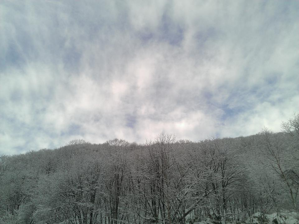 Photo captured at 2012-01-23T09:01:16.