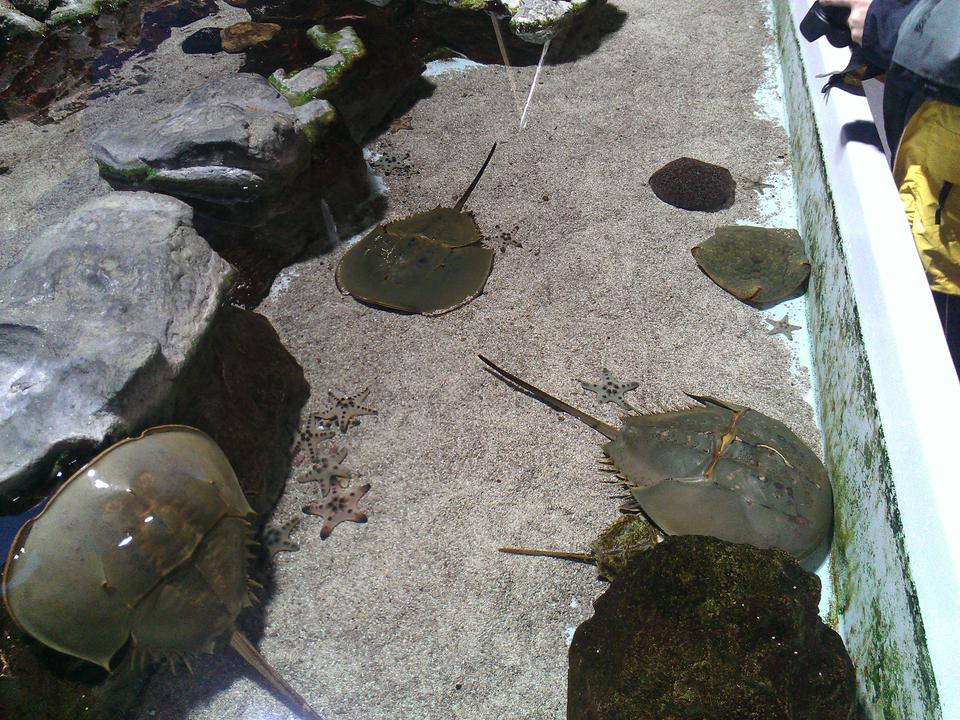 Photo captured at 2012-01-23T13:18:31.
