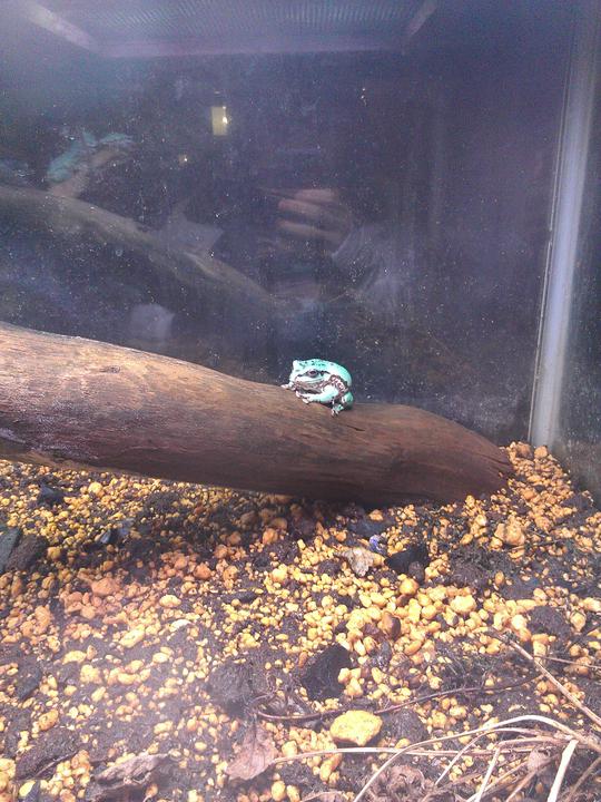 Photo captured at 2012-01-23T13:24:26.