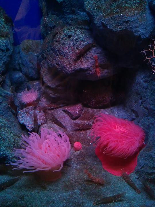 Photo captured at 2012-01-23T13:37:39.