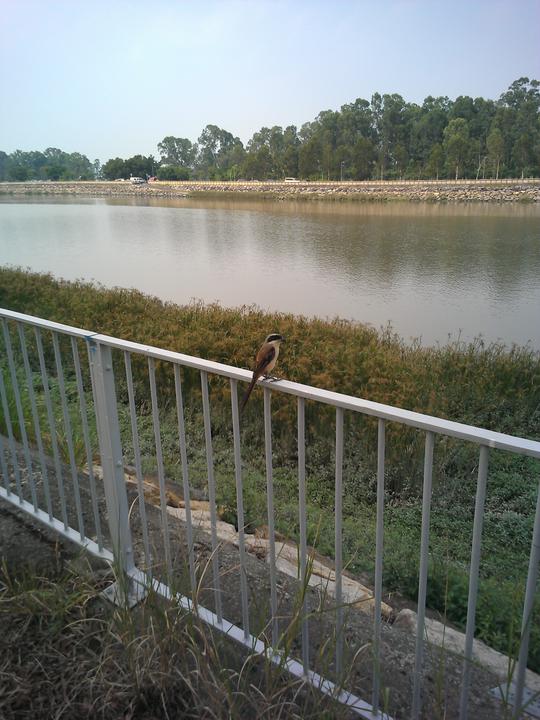 Photo captured at 2012-10-02T15:12:09.