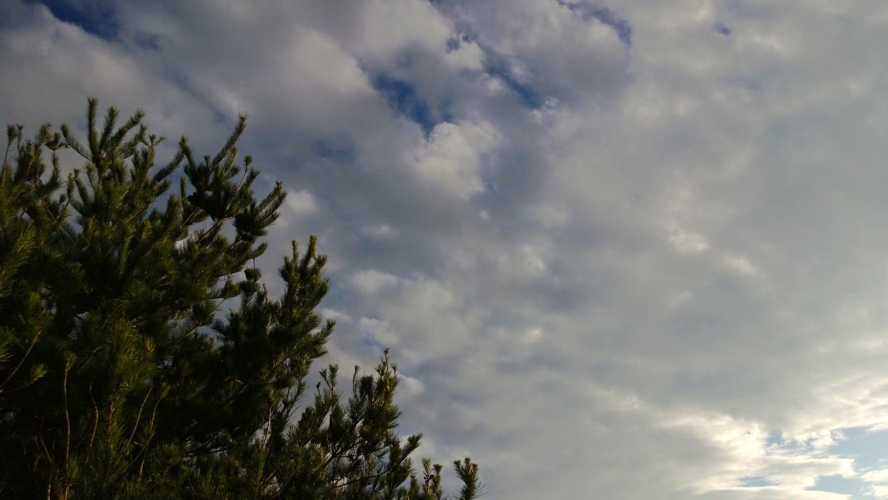 Photo captured at 2012-12-29T16:19:17.