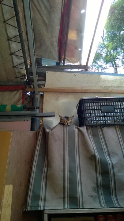 Photo captured at 2014-04-12T14:27:36.