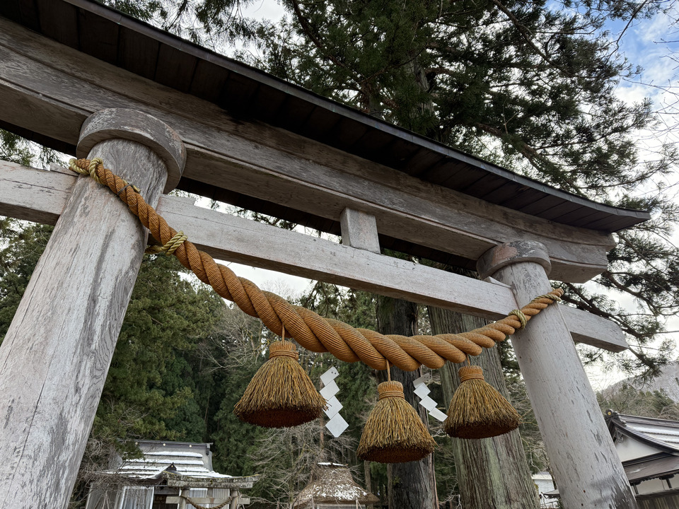 Photo captured at 2025-12-16T11:02:29.