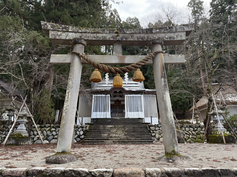 Photo captured at 2025-12-16T11:03:01.