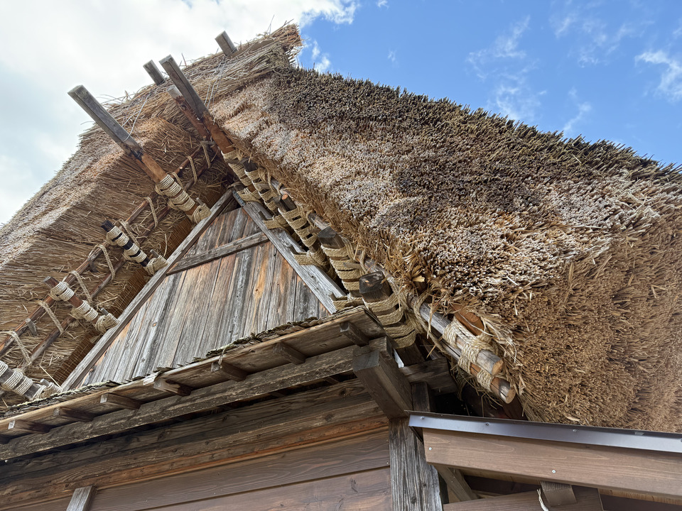 Photo captured at 2025-12-16T11:09:41.