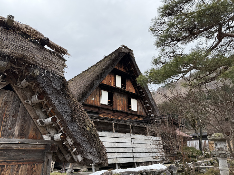 Photo captured at 2025-12-16T12:27:40.