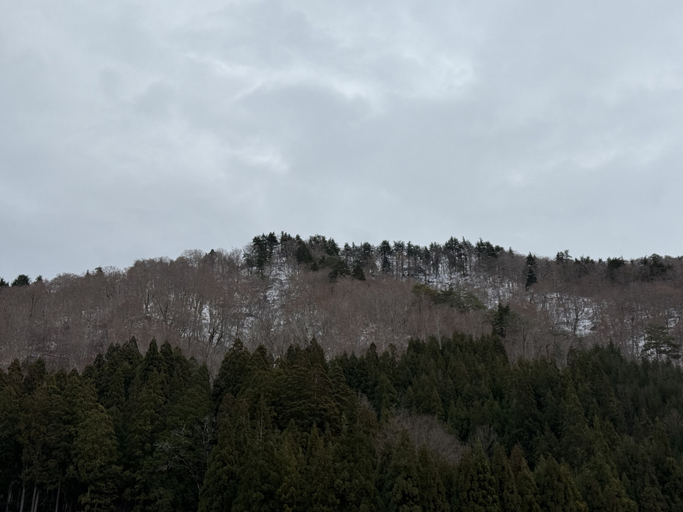 Photo captured at 2025-12-16T12:28:29.