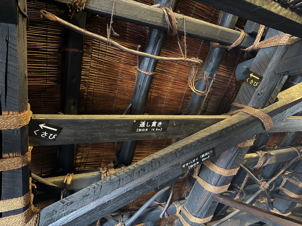 Photo captured at 2025-12-16T12:40:09.