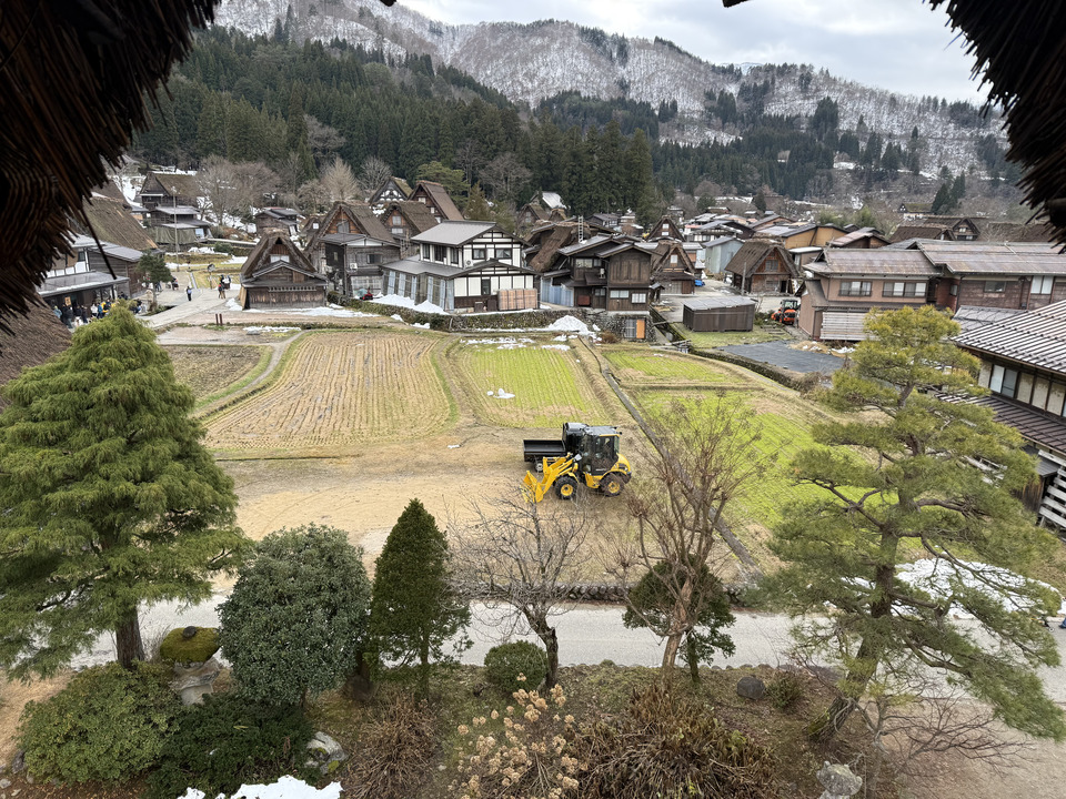 Photo captured at 2025-12-16T12:50:41.